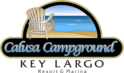 We offer a variety of sites including bayfront sites with private docks and beautiful sunsets every night. Canal sites offer private docks for your boat for that sunrise or sunset cruise. And finally, our excellent inland sites are set in various areas of the campground from secluded shaded areas to some near the pool and marina area. No matter what your budget or camping choice is we have a site for you.